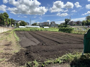 2024年8月26日(月)の作業記録 (田中さん畑でマルチ剥がし作業、斉藤さん畑をトラクターで耕耘作業)