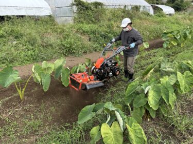 2024年9月25日(水)の作業記録 (ねぎ管理機納品、里芋土寄せ作業、トラクター耕耘作業、青首大根播種作業)