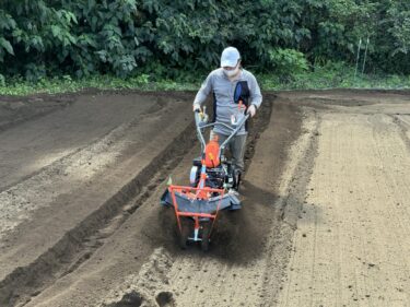 2024年9月26日(木)の作業記録 (長ネギ用の溝掘り作業、マルチ剥がし作業、除草作業)