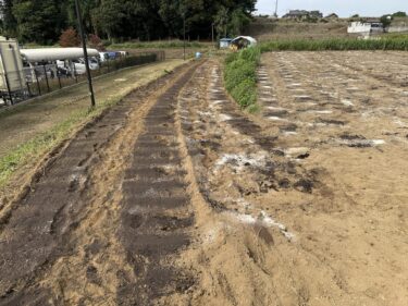 2024年10月24日(木)の作業記録 (肥料撒き・トラクター耕耘作業、菜花類の防虫ネット張り作業)