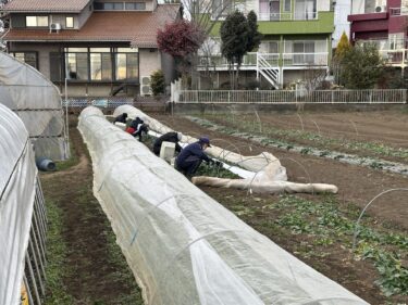 2025年1月7日(火)の作業記録 (仕事始め、AM時間帯のみの作業となりました)