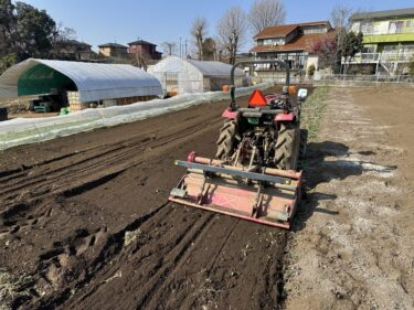 2025年1月24日(金)の作業記録 (田中さん畑の石拾い作業、小松菜のトンネル張り作業)